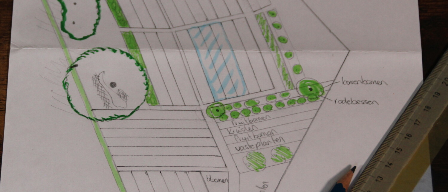 Hoe Begin Ik Een Moestuin Moestuin Ontwerpen En Indelen