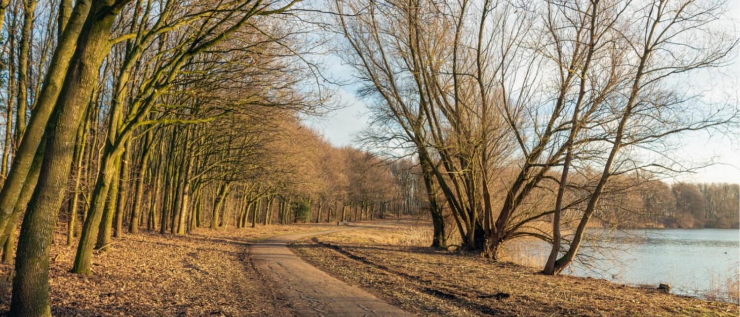 Prachtig Wandelen In Brabant 14 Bijzondere Wandelroutes