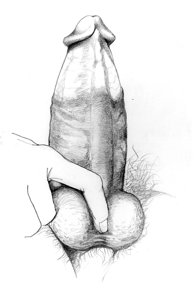 Cartoon penis enter vagina white and black