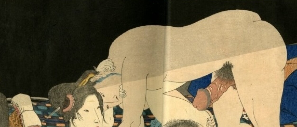 The Introduction Of The Geisha Girl To Sex Shunga Gallery