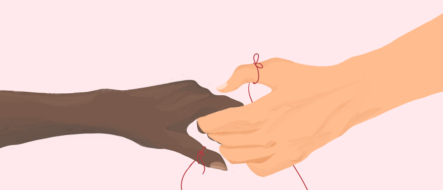 Wat kost een conflict – en wat levert het op?