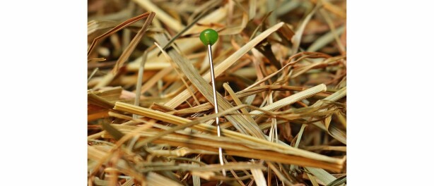 Tekort aan Privacy Professionals?