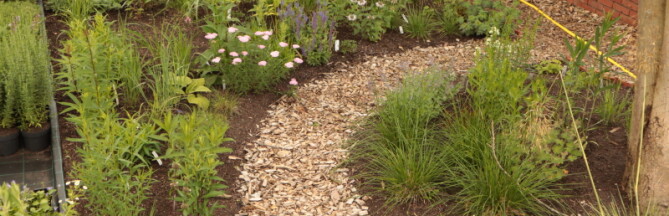 Nadelen van Houtsnippers in de Tuin