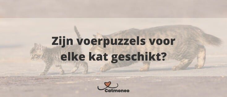 Zijn voerpuzzels voor elke kat geschikt?