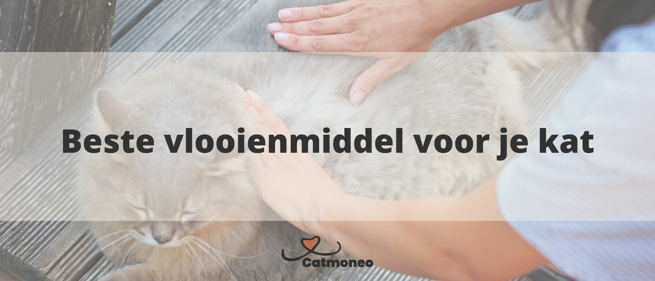 Beste vlooienmiddel voor je kat Voor je kat, je kitten en je huis