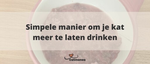 Hoeveel water drinkt een kat per dag?