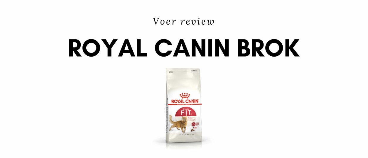 Hoeveel gram mag een kitten eten per dag?