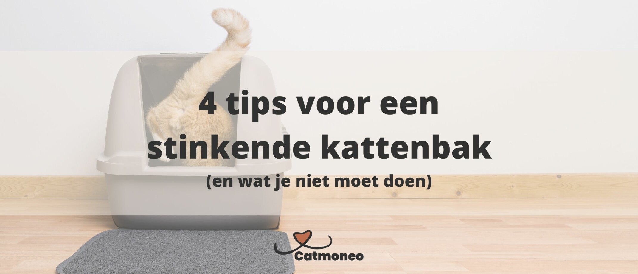 Hoe Zorg Je Dat Je Kat Op De Kattenbak Gaat?