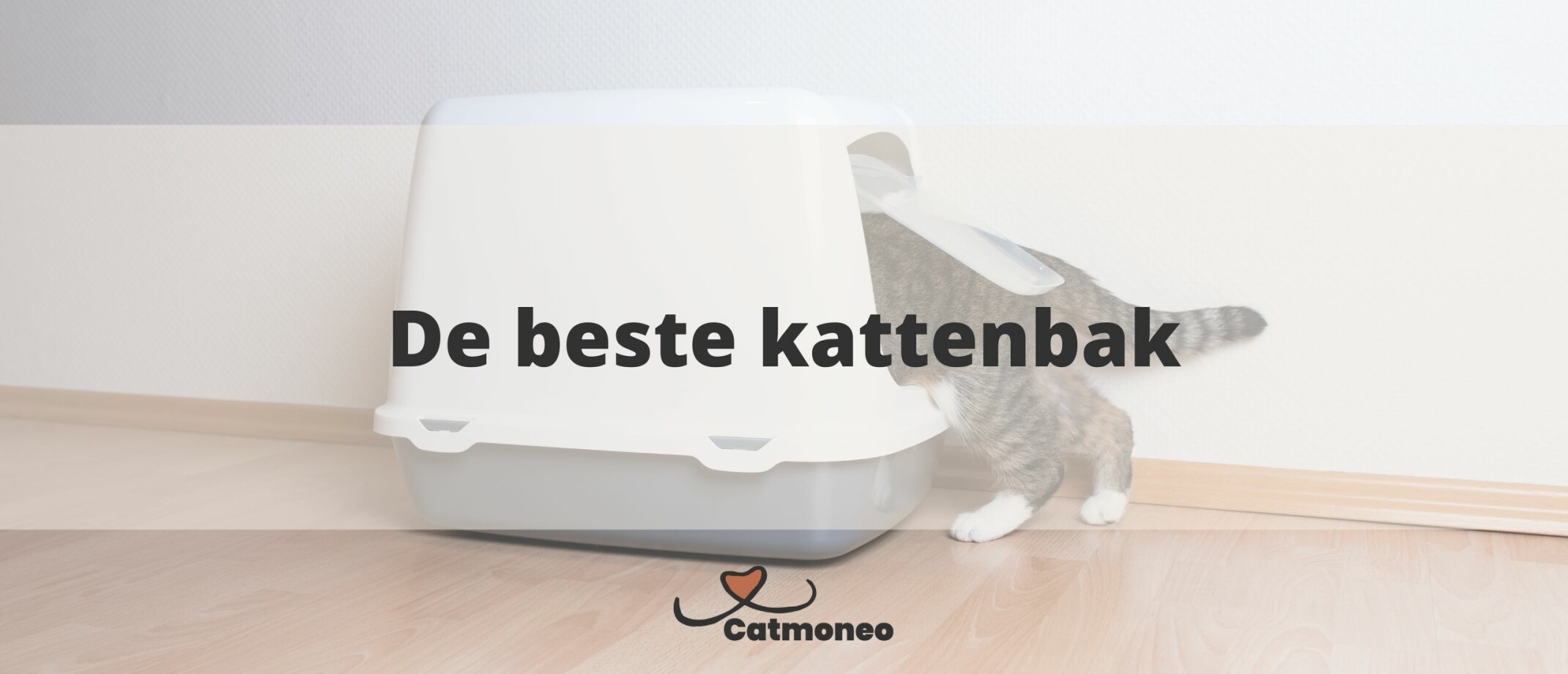 Beste vlooienmiddel voor je kat Voor je kat, je kitten en je huis