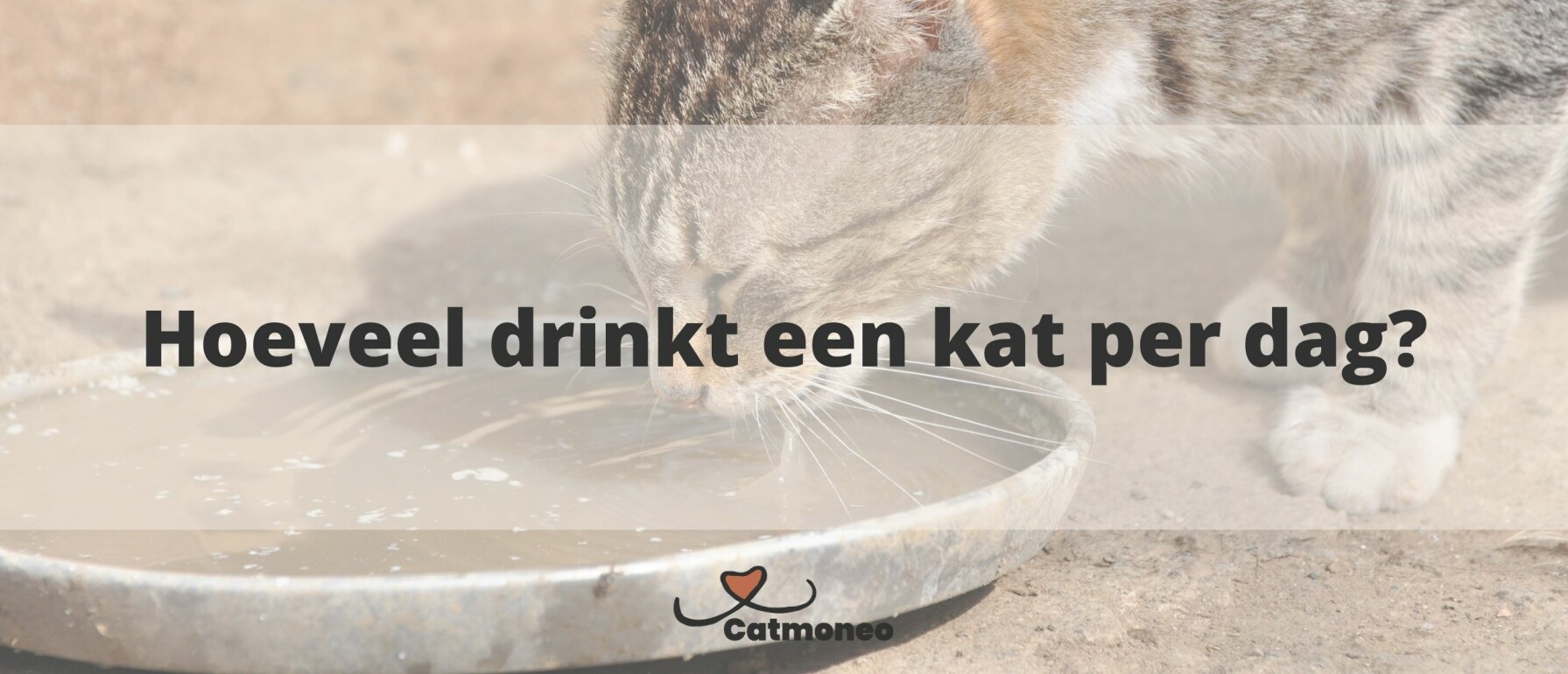 Natvoer moet eruit zien als iets dat je zelf zou eten...?