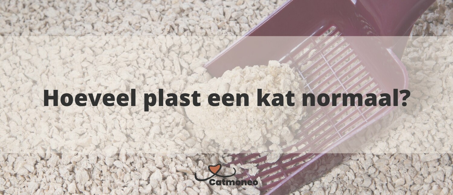 Hoeveel plast een kat normaal?