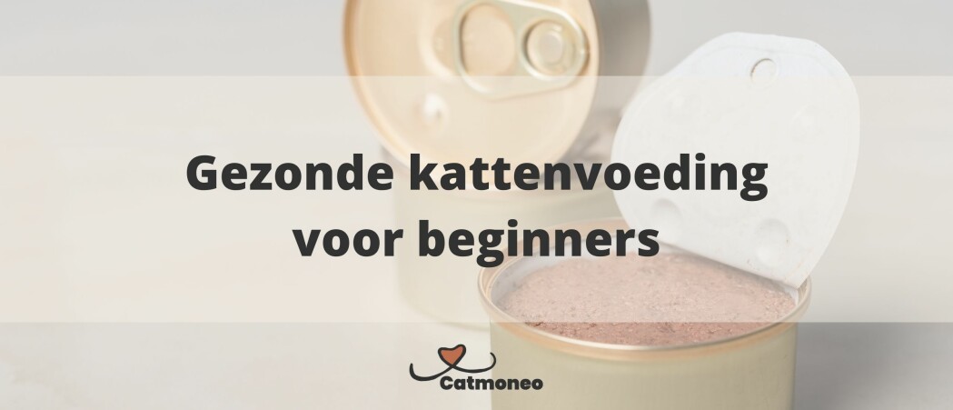 Grandorf - Tonijnfilet - Hypoallergeen Natvoer - Volwassen Katten 6 x 70 g