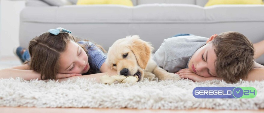 Welk vloerkleed past bij mijn interieur? 5 Tips voor de perfecte keuze