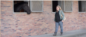 De kracht van kleine stapjes