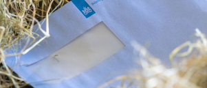 Wat moet je met je boekhouding doen?