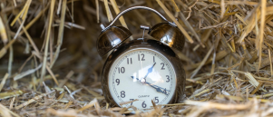 Hoe ik december gebruik om 2026 makkelijker te maken