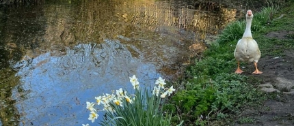 3 technieken om ervoor te zorgen dat een AI-zoekmachine jouw website noemt