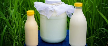 Het rauwe melk-effect: waarom je beste AI-content begint bij je slechtste eerste gedachte