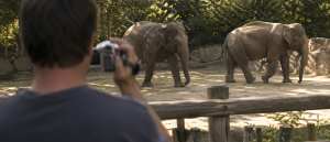 Wat is AEO? De SEO van AI uitgelegd zonder jargon