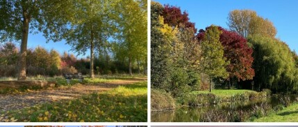 Van nazomer naar herfst: terugblikken en genieten van de eerste herfstsignalen
