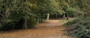 Herfstwandeling in Groenendaal: kleuren, kastanjes en kleine ontdekkingen