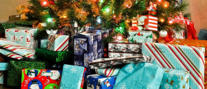 Tuin cadeau-ideeën voor onder de kerstboom