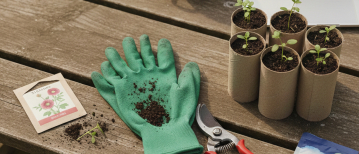 Budget Tuinplanning 2026: Zo leg je nu de basis voor een weelderige siertuin