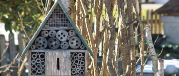 Insectenhotel Do’s & Don’ts: Zo help je de natuur (zonder gedoe)