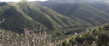 Ontdek het adembenemende landschap van de Douro met de auto, wandelend of op de fiets!