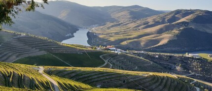 Cruisen over de Douro