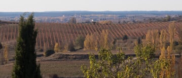 Ribera del Duero met mooie wijnen en ondergrondse wijnkelders