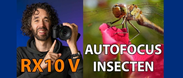 Sony RX10 V Autofocus & AI Onderwerpherkenning voor insecten. Praktijktest Macro & Closeup