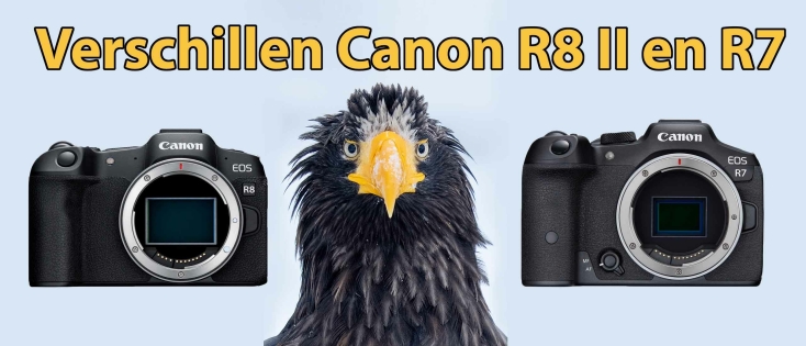 Verschillen Canon EOS R8 II en R7: Welke is de beste?