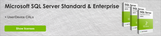 SQL Server Standard vs. Enterprise: Main Differences