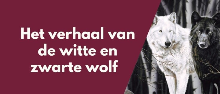 Het verhaal van de witte en zwarte wolf