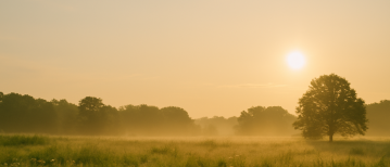 Mindfulness meditatie | Ontspanning en liefde in één