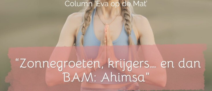 Zonnegroeten, Krijgers en dan...BAM.. Ahimsa!