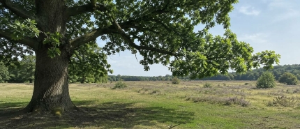 Het wondert in de praktijk