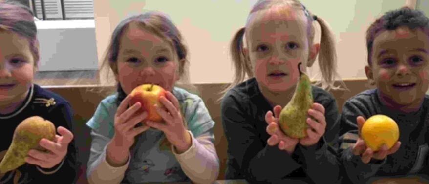 Appel peren moes
