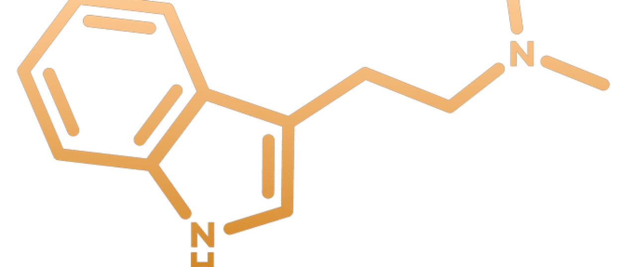 Neurologische mechanismen achter spirituele ervaringen