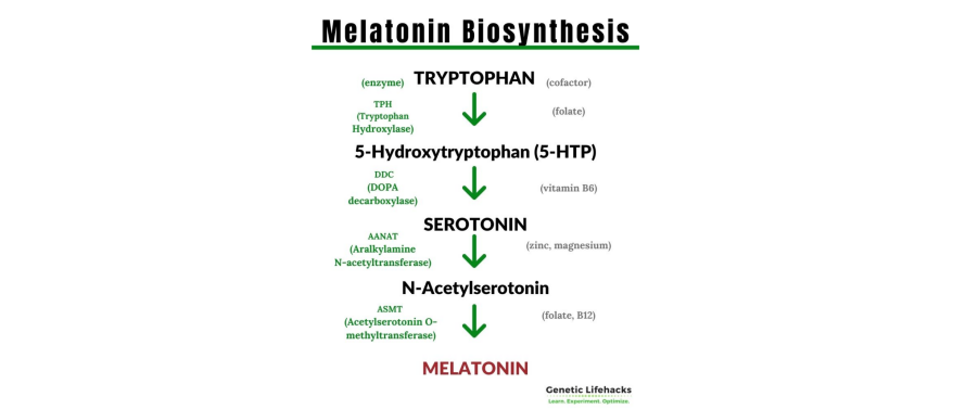 Methylatie