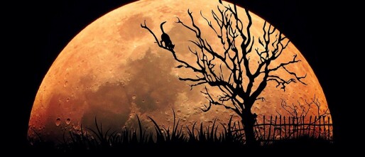 Volle Maan in Waterman, wat betekent dat voor jou