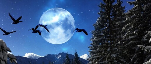 Volle Maan in Kreeft