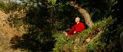 Geleide meditatie in de Hypnosewolk