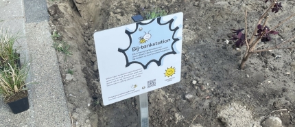 Van kale grond naar Bij-tankstation in Rotterdam