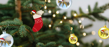 Geef de toekomst kleur: samen maken we Nederland bloemrijker