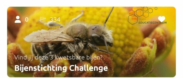 Doe mee met de Bijenstichting Obsidentify Challenge!
