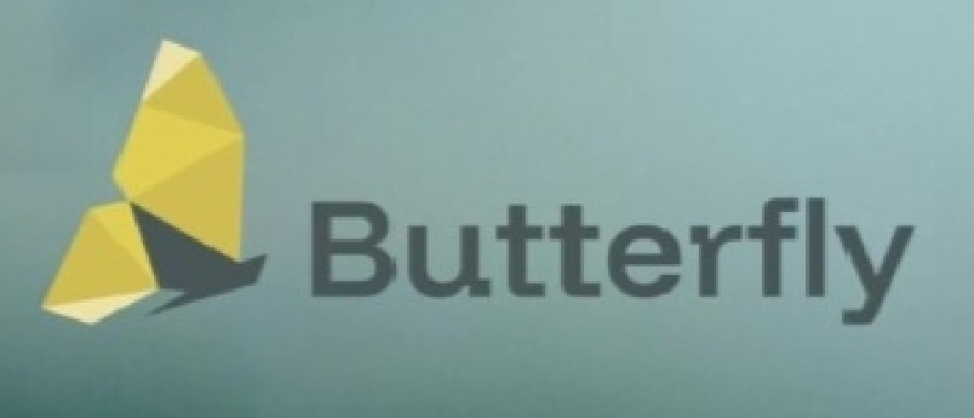 Nieuw Europees project wil bestuivers beter beschermen: Butterfly brengt wetenschap en samenleving samen