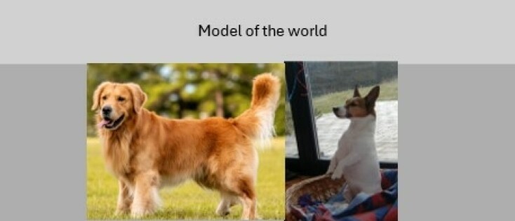 Our model of the world