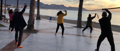 Vitaliteit uit het Oosten